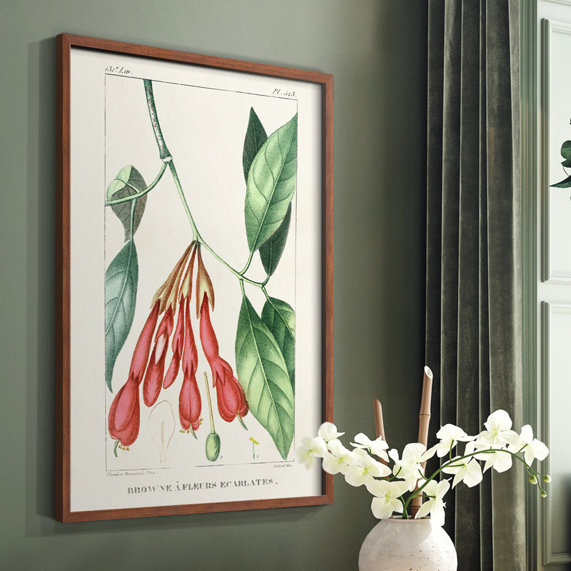 «Turpin Tropical Botanicals I», reproduction encadrée - bois massif, Brun, H 10 po x l 8 po