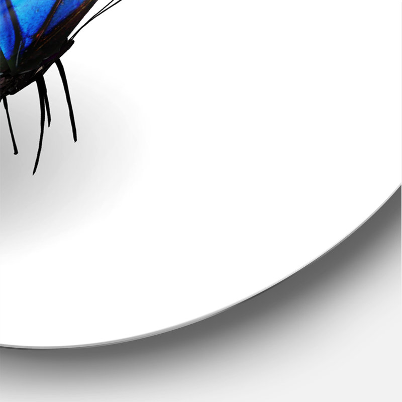" Vibrant Blue Butterfly " Painting Print, 23" H x 23" W x 1" D