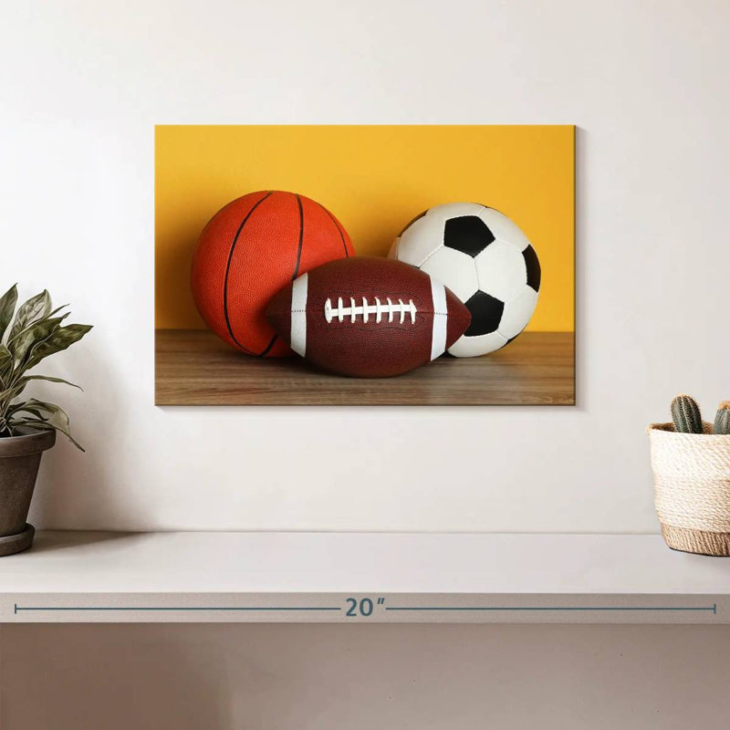 Team sports balls Sireci, H 8 po x l 12 po
