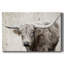 Toile tendue Longhorn-1513808426
