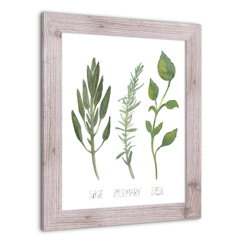 Herbs - Single Picture Frame Painting, 20" H x 16" W x 0.75" D