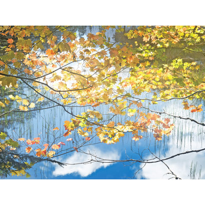 Autumn Maples Over Pond Print by Bruce Heinemann