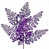  Paillettes mauves est en rupture de stock