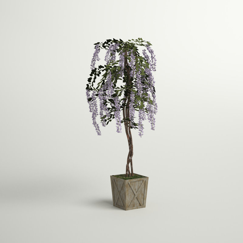 Plante de fleurs dans un pot
