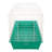 Chayil HSH Sunseed 40" Rabbit Starter Kit