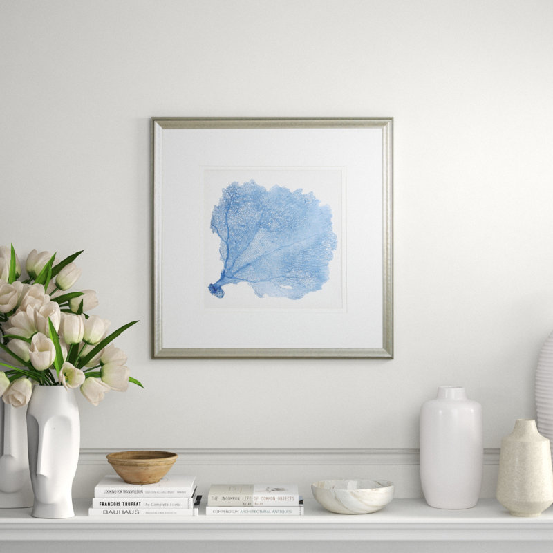 Sea Fan V Print by Vision