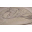 Modern Abstract Area Rug