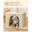 Barnstaple 84cm H Cat Tree-105704031