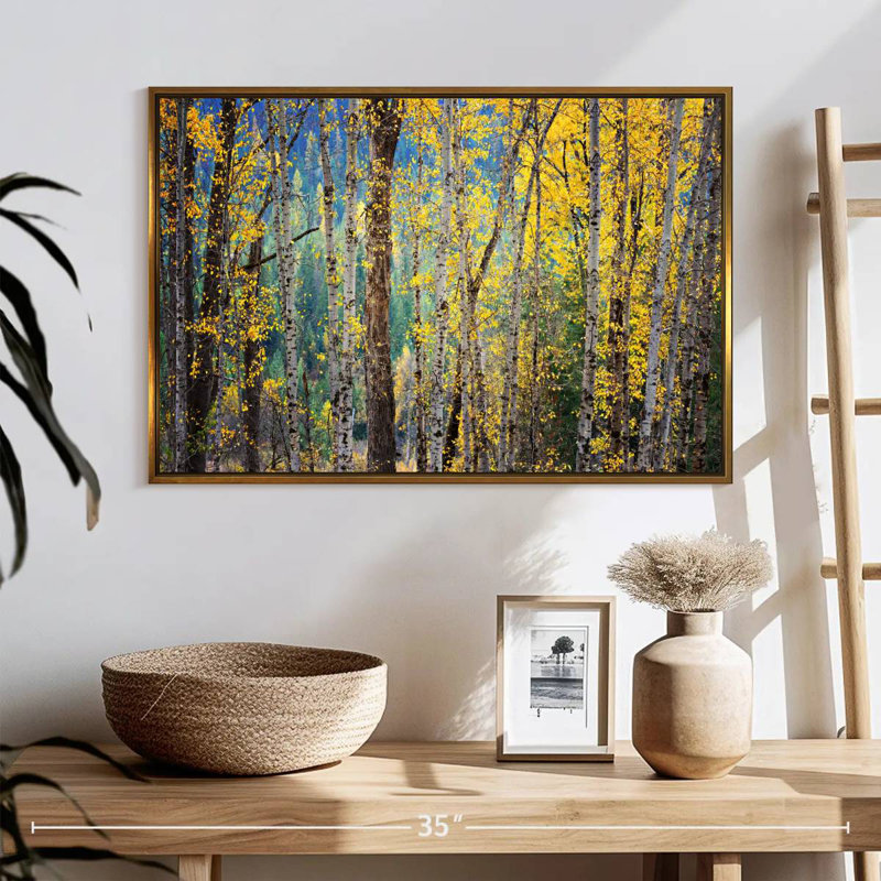 Kootenay Fall II, 25 po x 17 po, Cadre flottant doré