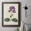 Toile encadrée de qualité supérieure Antique Botanical Collection V - prête à être accrochée-814316126