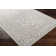Oriental Indoor Rug
