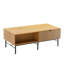 Coffee Table with Storage