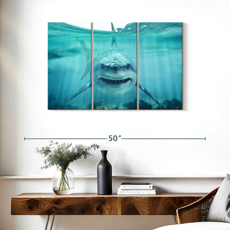 Predatory White Shark, 24" H x 38" W