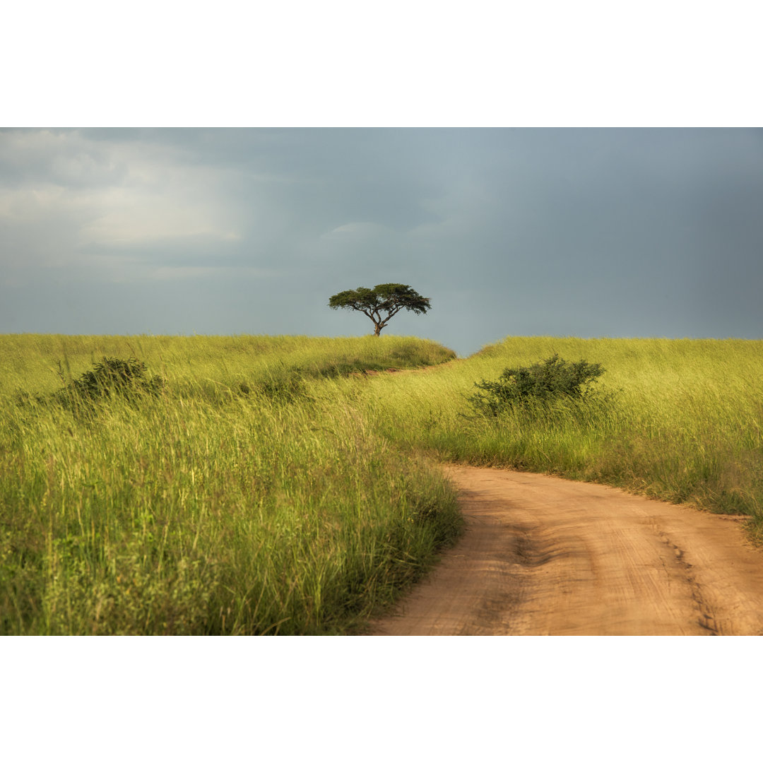 African Road Through The Green Savannah von Guenterguni - Leinwandbild