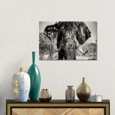 Elephant Portrait by Philippe Hugonnard - Gallery-Wrapped Canvas Giclée on Canvas