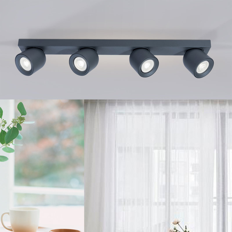 Azniv Spotlight, Grey