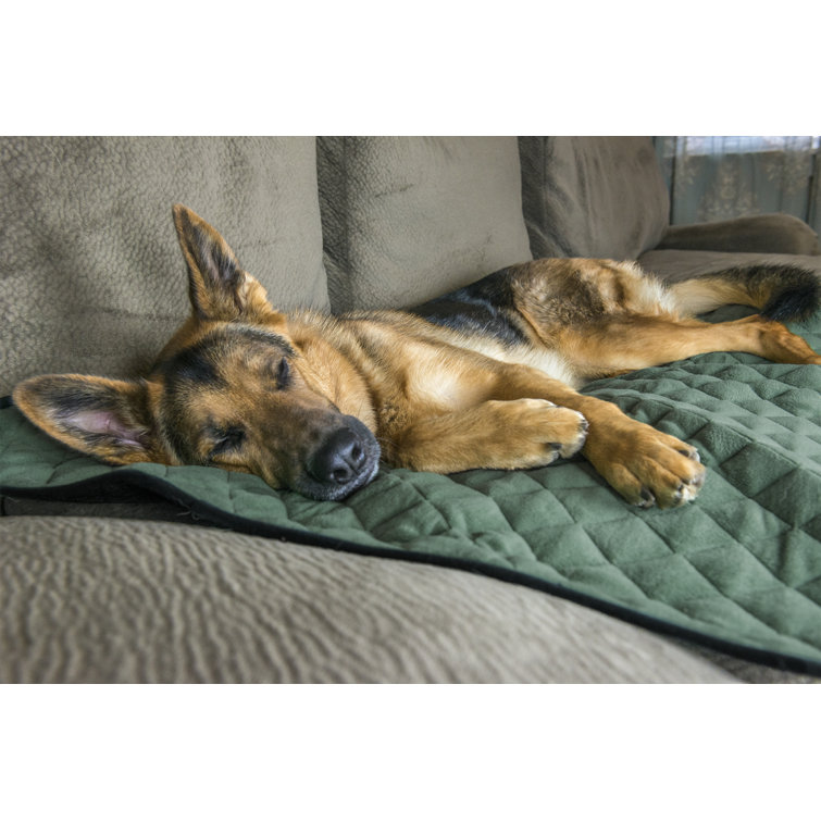 FurHaven ThermapNAP™ Plush Self-Warming Pet Blanket u0026 Reviews | Wayfair