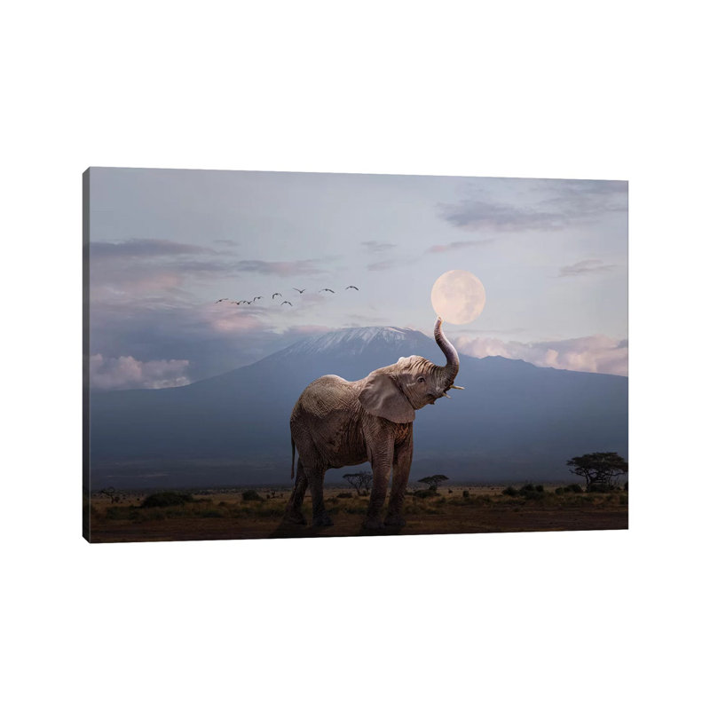 Elephant Holding Up Moon In Africa by Susan Schmitz - Wrapped Canvas Print, 101.6 cm H x 66.04 cm W x 1.91 cm D