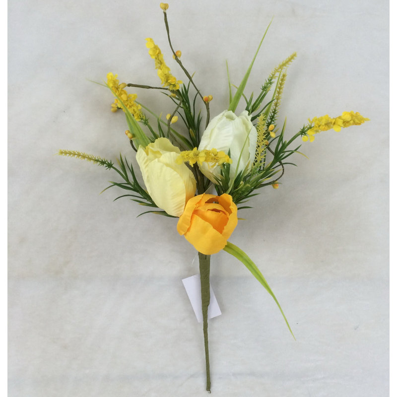 Tiges de tulipes