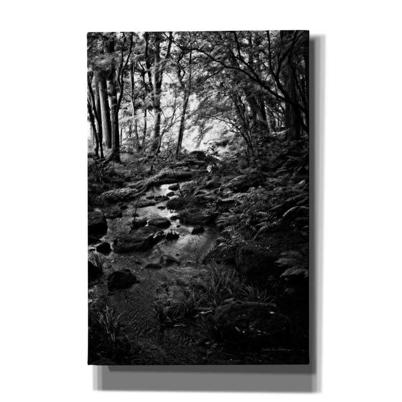 «Lush Creek in Forest BW» par Debra Van Swearingen, art mural sur toile, H 60 po x l 40 po x P 1,5 po