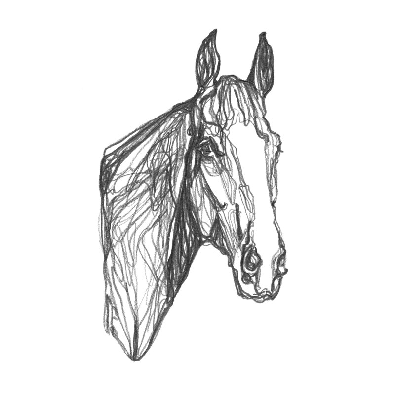 Equine Shape I by Emma Scarvey - Drawing, 122cm H x 81cm W, Wrapped Canvas