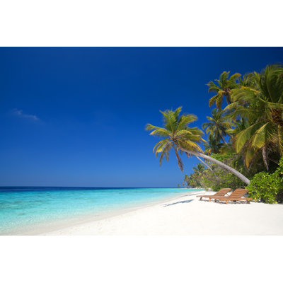 Amazing Tropical Island - Wrapped Canvas Print
