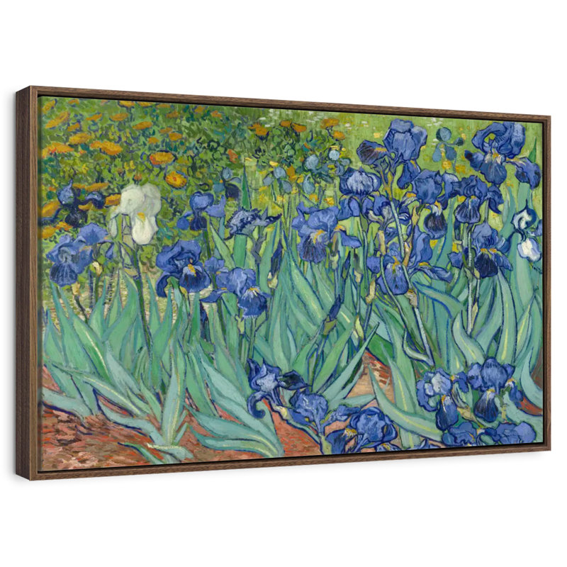 Irises 1889, 46" X 31", Floating Frame Walnut