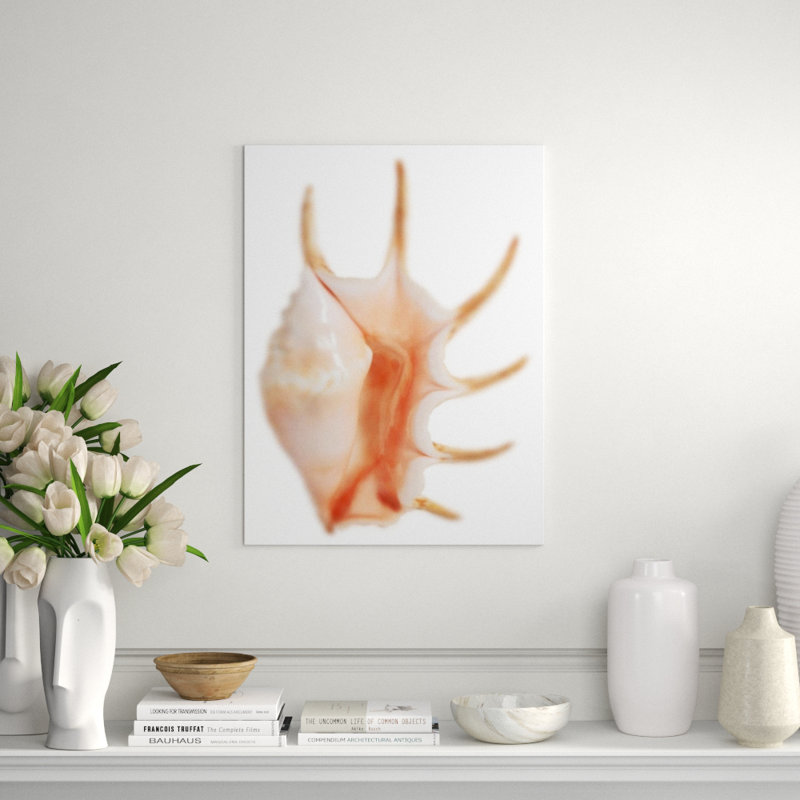 Sea Shell In White IV Print by Sofia Fox, Glass Coat, 40" H x 30" W x 1.5" D