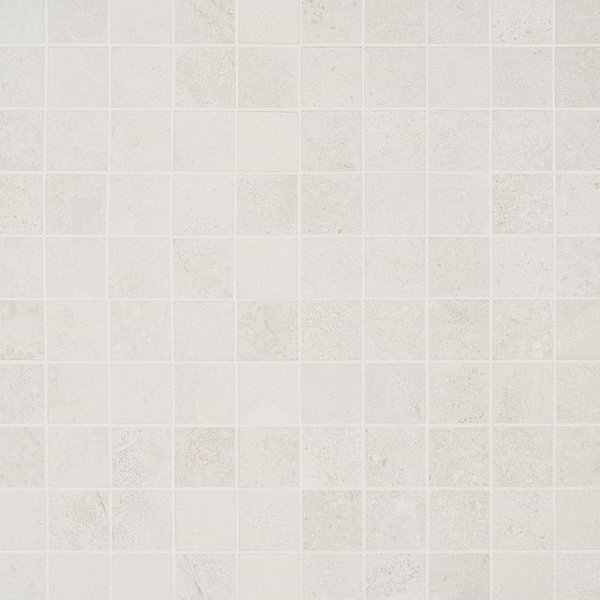 Bronx 2x2 Matte Porcelain Mosaic Tile, White