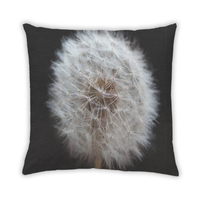 Coussin 32 couleurs Color Focus
