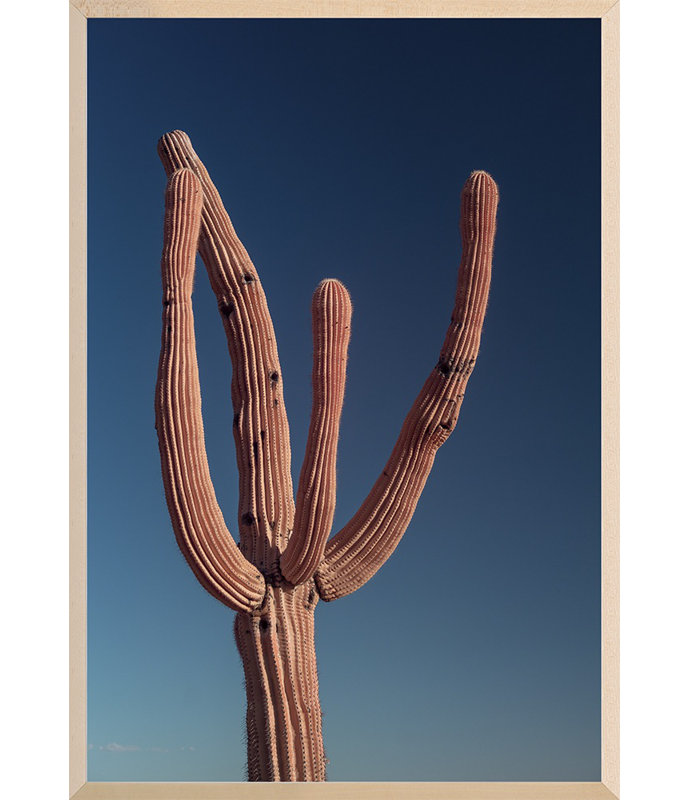 Phoenix, Arizona 14 Print by August Studios