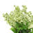 Polysilk Bouvardia Arrangement in Vase