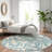 Premium Machine Washable Prisco Teal Rug-1588146606
