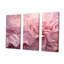 «Pink Tender Twirl Spiral», ensemble d'art mural sur toile-111764667-112015079