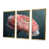 Toile avec cadre flottant or
