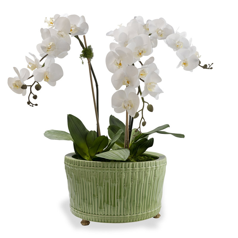 Bamboo Garden Center Basin, Apple Green