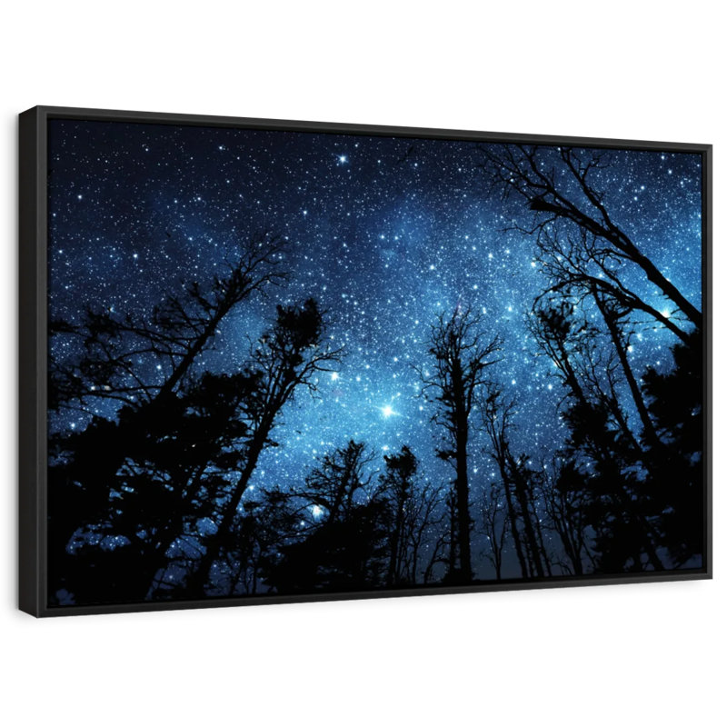 Astronomie et espace «Forest Night Sky Canvas Print», H 21 po x l 31 po