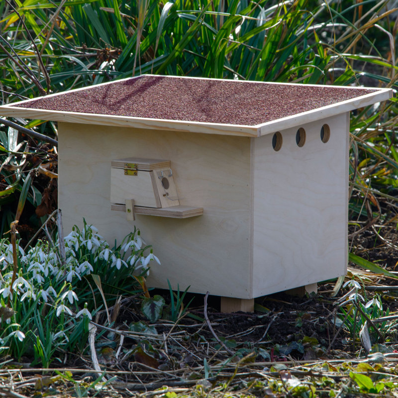 Analena Free Standing Bumblebee House
