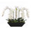 Real Touch Phalaenopsis Orchid Floral Arrangement in Pot