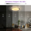 Britza Flush Mount