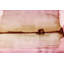 Parvez Taj - Wrapped Canvas Print-12310192