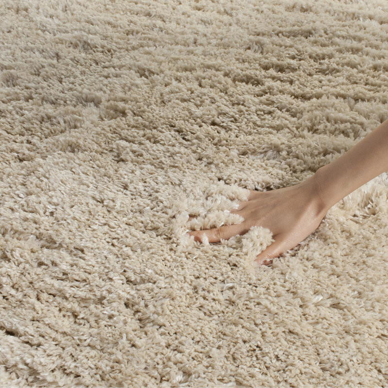 Cecila Indie Shag Performance Solid Color Rug, Round 4'