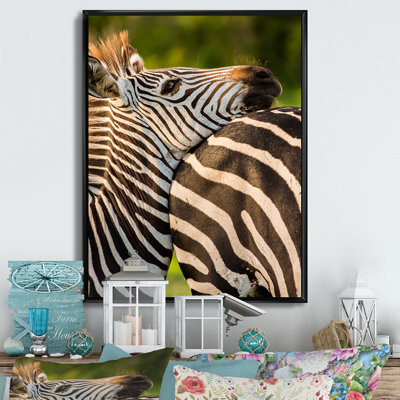 Portrait de zèbre africain - Impression sur toile
