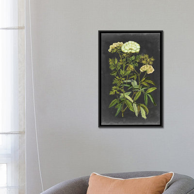 Bookplate Floral I by Naomi McCavitt - Wrapped Canvas Gallery-Wrapped Canvas Giclée