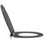 Anthracite Plastic Standard Adjustable Armrests Toilet Seat-1215608310