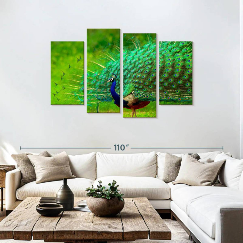 Plumage brillant de paon bleu Brampt, H 48 po x l 75 po