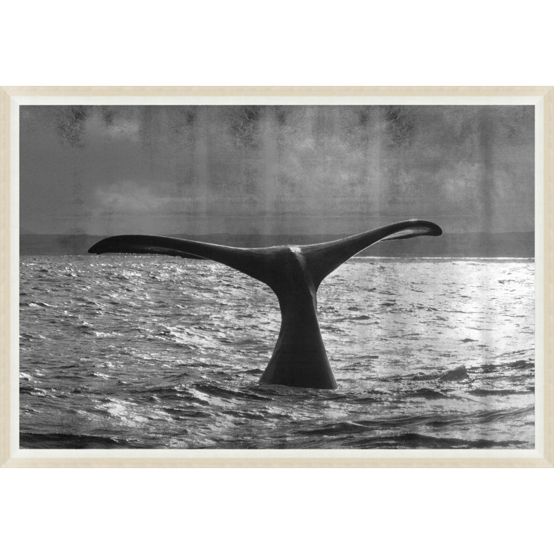Whale Metallic Print