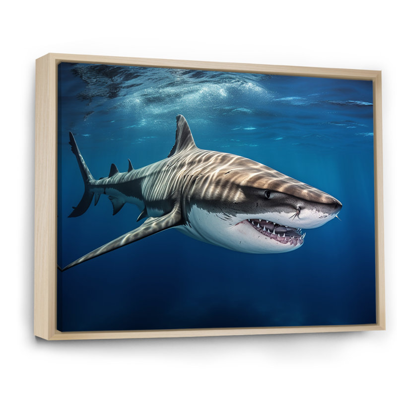 «Tiger Shark Territory I» sur toile, H 24 po x l 32 po x P 1 po, Cadre naturel flottant