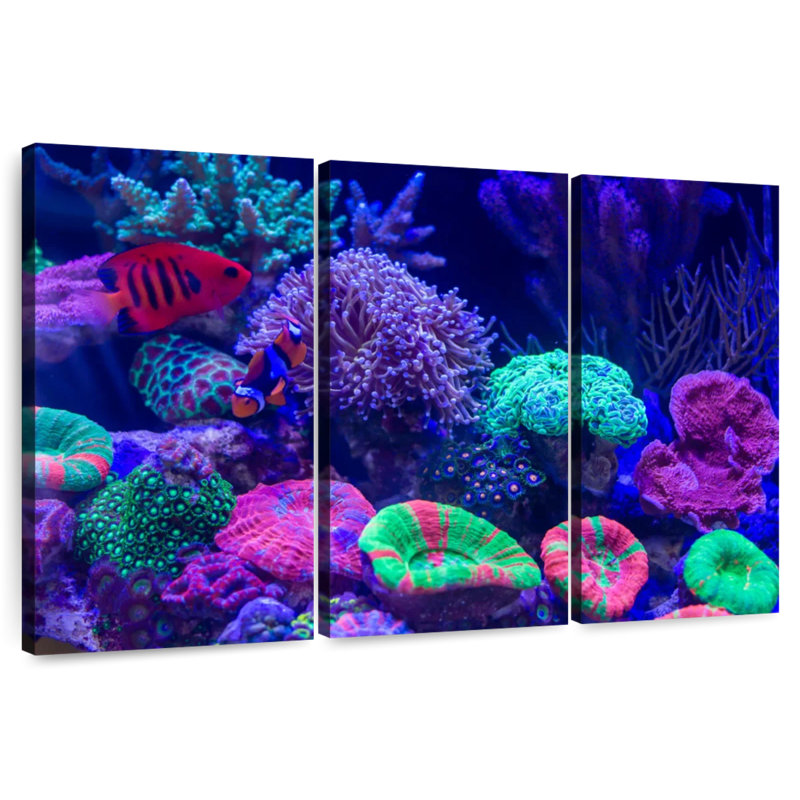 Coral Homes For The Fishes, H 24 po x l 38 po