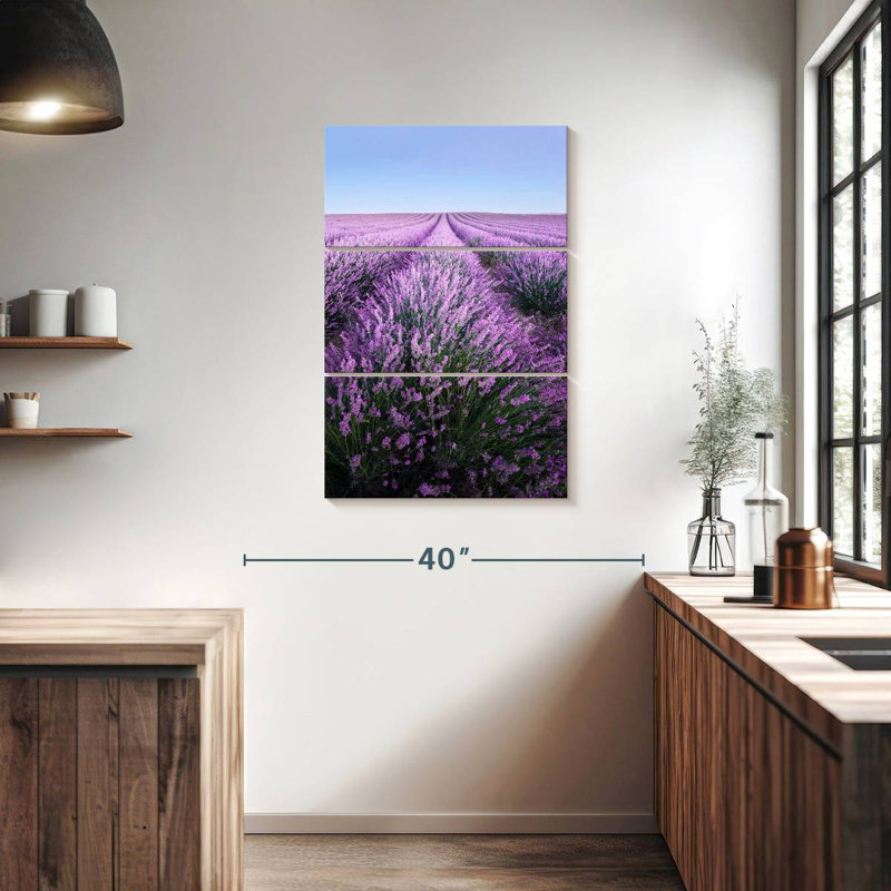 Lavande française Alvord Provence, H 38 po x l 24 po